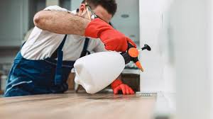 Best Termite Inspection and Treatment  in Serenada, TX